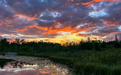 2026 Photo Contest